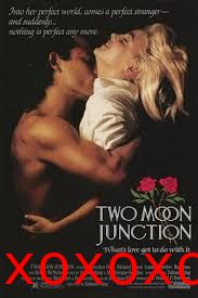 偷月情Two Moon Junction}